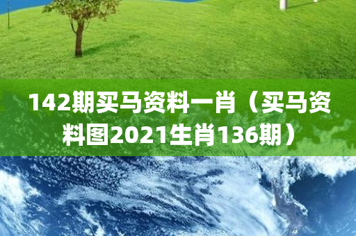 142期买马资料一肖（买马资料图2021生肖136期）