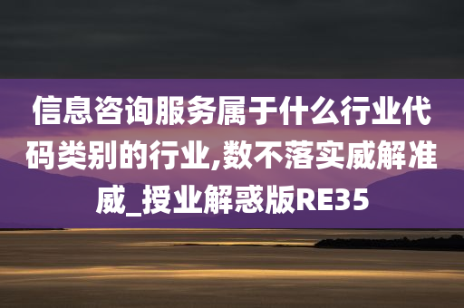 信息咨询服务属于什么行业代码类别的行业,数不落实威解准威_授业解惑版RE35