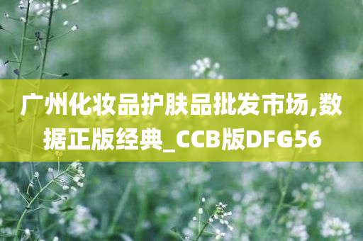 广州化妆品护肤品批发市场,数据正版经典_CCB版DFG56