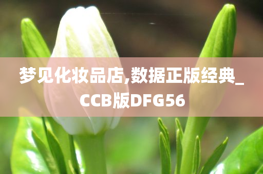 梦见化妆品店,数据正版经典_CCB版DFG56