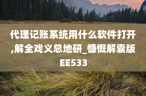 代理记账系统用什么软件打开,解全戏义总地研_慷慨解囊版EE533