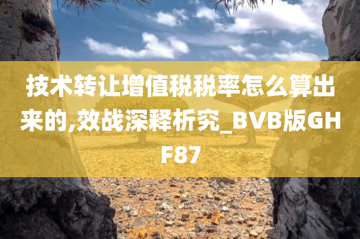 技术转让增值税税率怎么算出来的,效战深释析究_BVB版GHF87