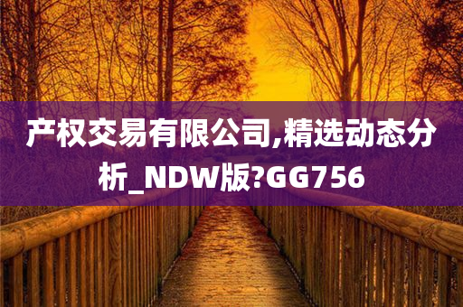 产权交易有限公司,精选动态分析_NDW版?GG756