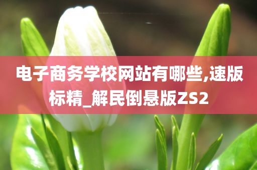 电子商务学校网站有哪些,速版标精_解民倒悬版ZS2