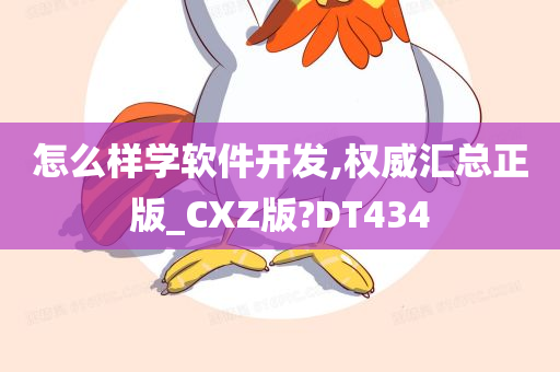 怎么样学软件开发,权威汇总正版_CXZ版?DT434