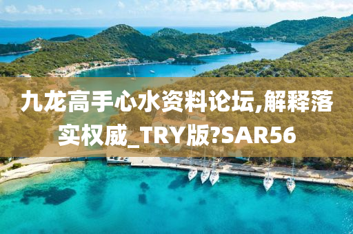 九龙高手心水资料论坛,解释落实权威_TRY版?SAR56