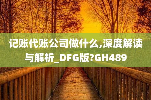 记账代账公司做什么,深度解读与解析_DFG版?GH489