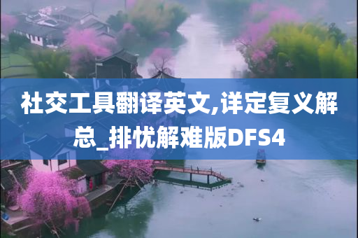 社交工具翻译英文,详定复义解总_排忧解难版DFS4