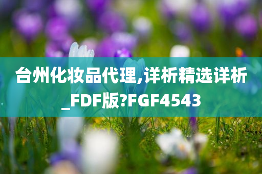 台州化妆品代理,详析精选详析_FDF版?FGF4543