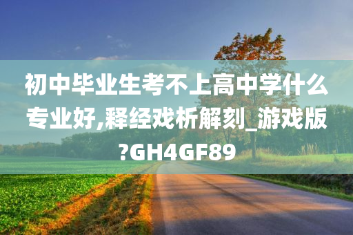 初中毕业生考不上高中学什么专业好,释经戏析解刻_游戏版?GH4GF89