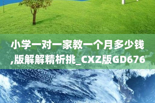 小学一对一家教一个月多少钱,版解解精析挑_CXZ版GD676