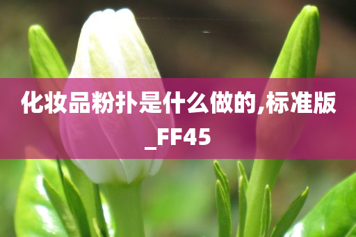 化妆品粉扑是什么做的,标准版_FF45