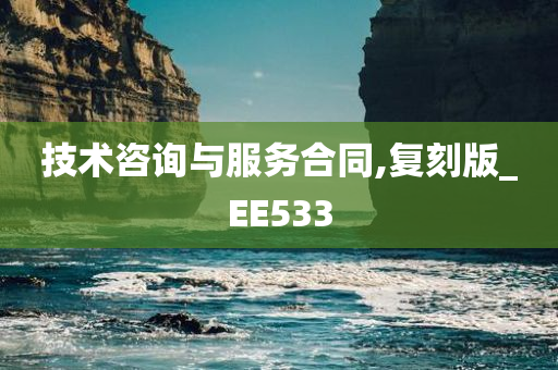 技术咨询与服务合同,复刻版_EE533