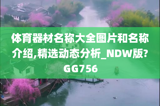 体育器材名称大全图片和名称介绍,精选动态分析_NDW版?GG756