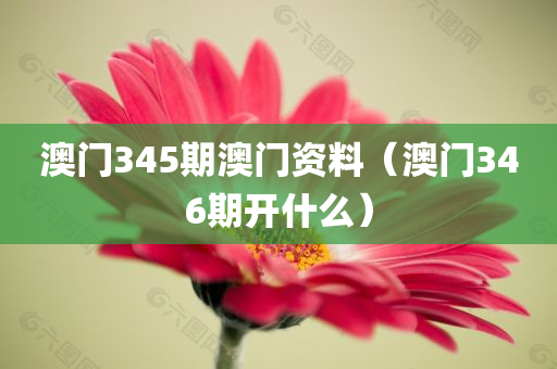 澳门345期澳门资料（澳门346期开什么）