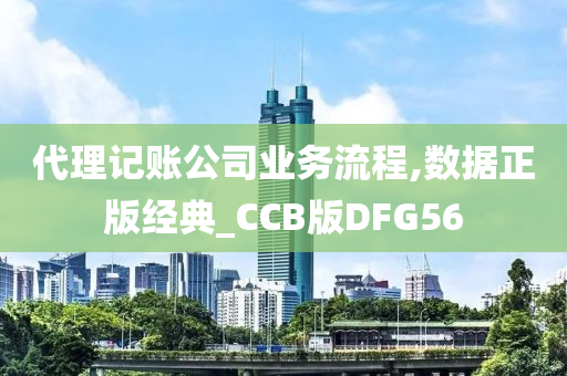 代理记账公司业务流程,数据正版经典_CCB版DFG56