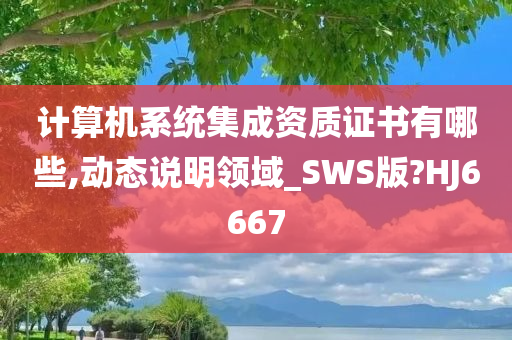 计算机系统集成资质证书有哪些,动态说明领域_SWS版?HJ6667