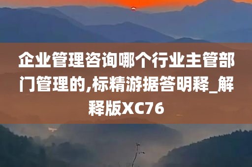 企业管理咨询哪个行业主管部门管理的,标精游据答明释_解释版XC76