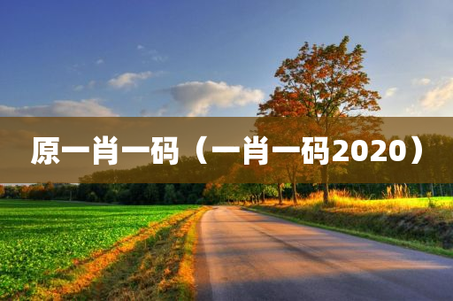 原一肖一码（一肖一码2020）