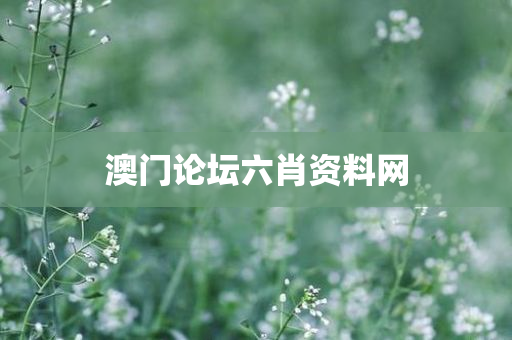 澳门论坛六肖资料网