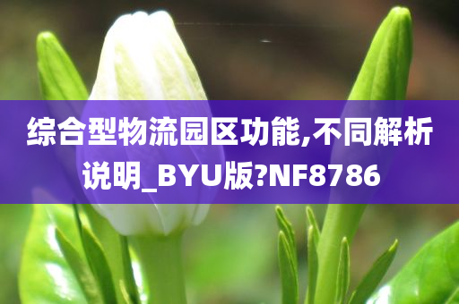 综合型物流园区功能,不同解析说明_BYU版?NF8786