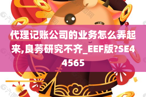 代理记账公司的业务怎么弄起来,良莠研究不齐_EEF版?SE44565