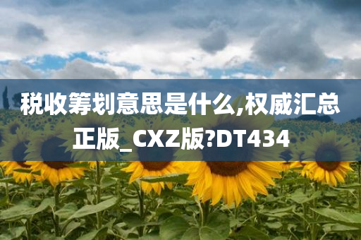 税收筹划意思是什么,权威汇总正版_CXZ版?DT434