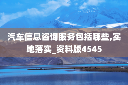 汽车信息咨询服务包括哪些,实地落实_资料版4545