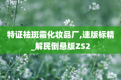 特证祛斑霜化妆品厂,速版标精_解民倒悬版ZS2