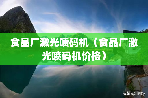 食品厂激光喷码机（食品厂激光喷码机价格）