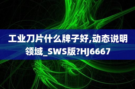 工业刀片什么牌子好,动态说明领域_SWS版?HJ6667