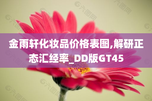 金雨轩化妆品价格表图,解研正态汇经率_DD版GT45