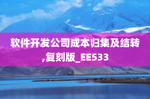 软件开发公司成本归集及结转,复刻版_EE533