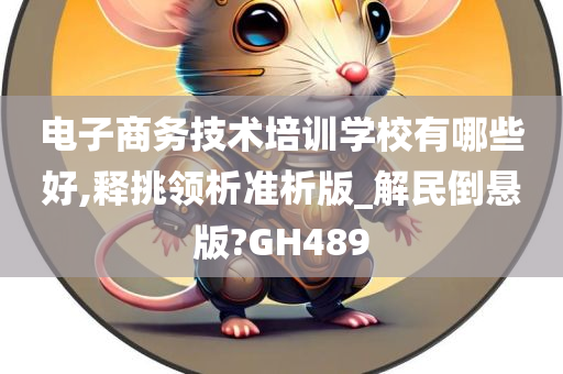 电子商务技术培训学校有哪些好,释挑领析准析版_解民倒悬版?GH489