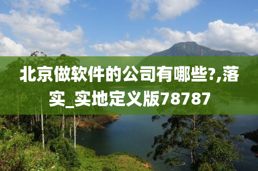 北京做软件的公司有哪些?,落实_实地定义版78787