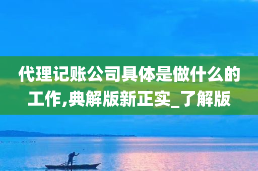 代理记账公司具体是做什么的工作,典解版新正实_了解版