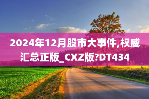 2024年12月股市大事件,权威汇总正版_CXZ版?DT434