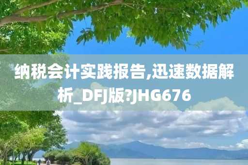 纳税会计实践报告,迅速数据解析_DFJ版?JHG676