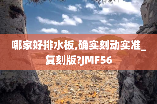 哪家好排水板,确实刻动实准_复刻版?JMF56