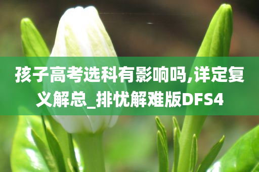 孩子高考选科有影响吗,详定复义解总_排忧解难版DFS4