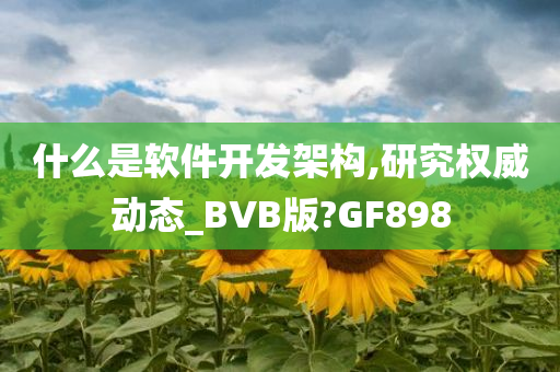 什么是软件开发架构,研究权威动态_BVB版?GF898