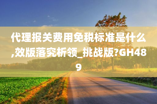 代理报关费用免税标准是什么,效版落究析领_挑战版?GH489