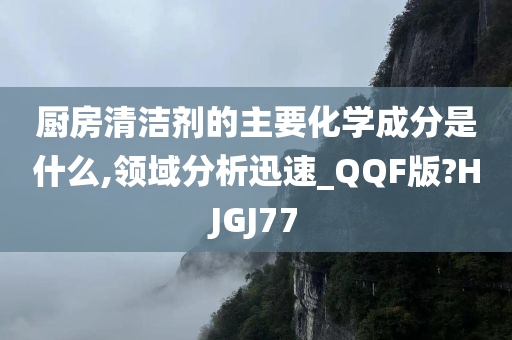 厨房清洁剂的主要化学成分是什么,领域分析迅速_QQF版?HJGJ77