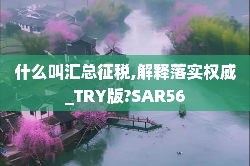 什么叫汇总征税,解释落实权威_TRY版?SAR56