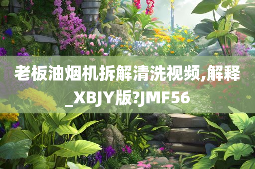 老板油烟机拆解清洗视频,解释_XBJY版?JMF56