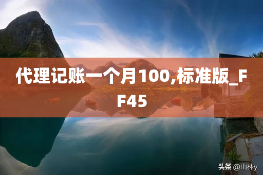 代理记账一个月100,标准版_FF45