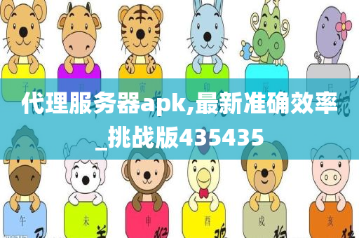 代理服务器apk,最新准确效率_挑战版435435