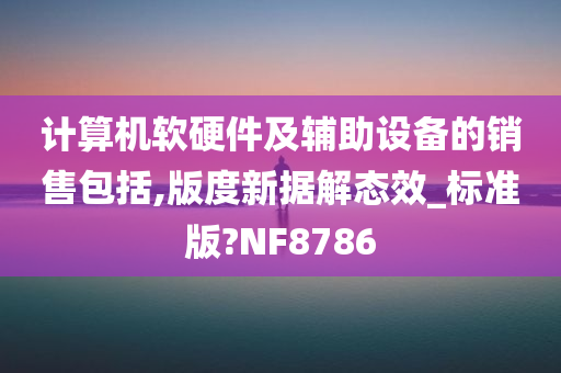 计算机软硬件及辅助设备的销售包括,版度新据解态效_标准版?NF8786