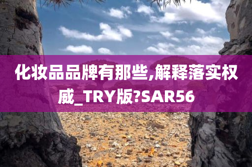 化妆品品牌有那些,解释落实权威_TRY版?SAR56