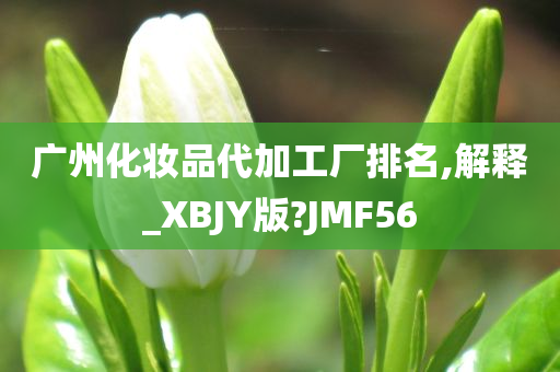 广州化妆品代加工厂排名,解释_XBJY版?JMF56